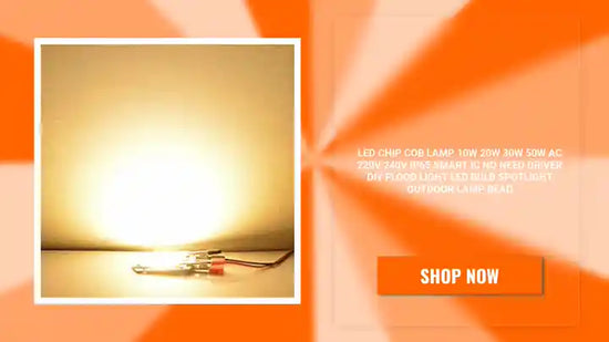 LED Chip COB Lamp 10W 20W 30W 50W AC 220V 240V IP65 Smart IC No Need Driver DIY Flood Light Led Bulb Spotlight Outdoor Lamp Bead by@Outfy